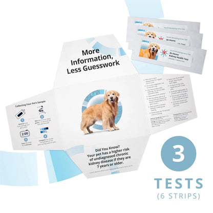 Petivity At-Home Kidney Health Test Kit for Dogs — Quick Saliva Urea Test (2-Minute Home Check), Powered by Purina — Help Detect Early Kidney Changes - (Pack of 3) petivityBuy Supplements Australia