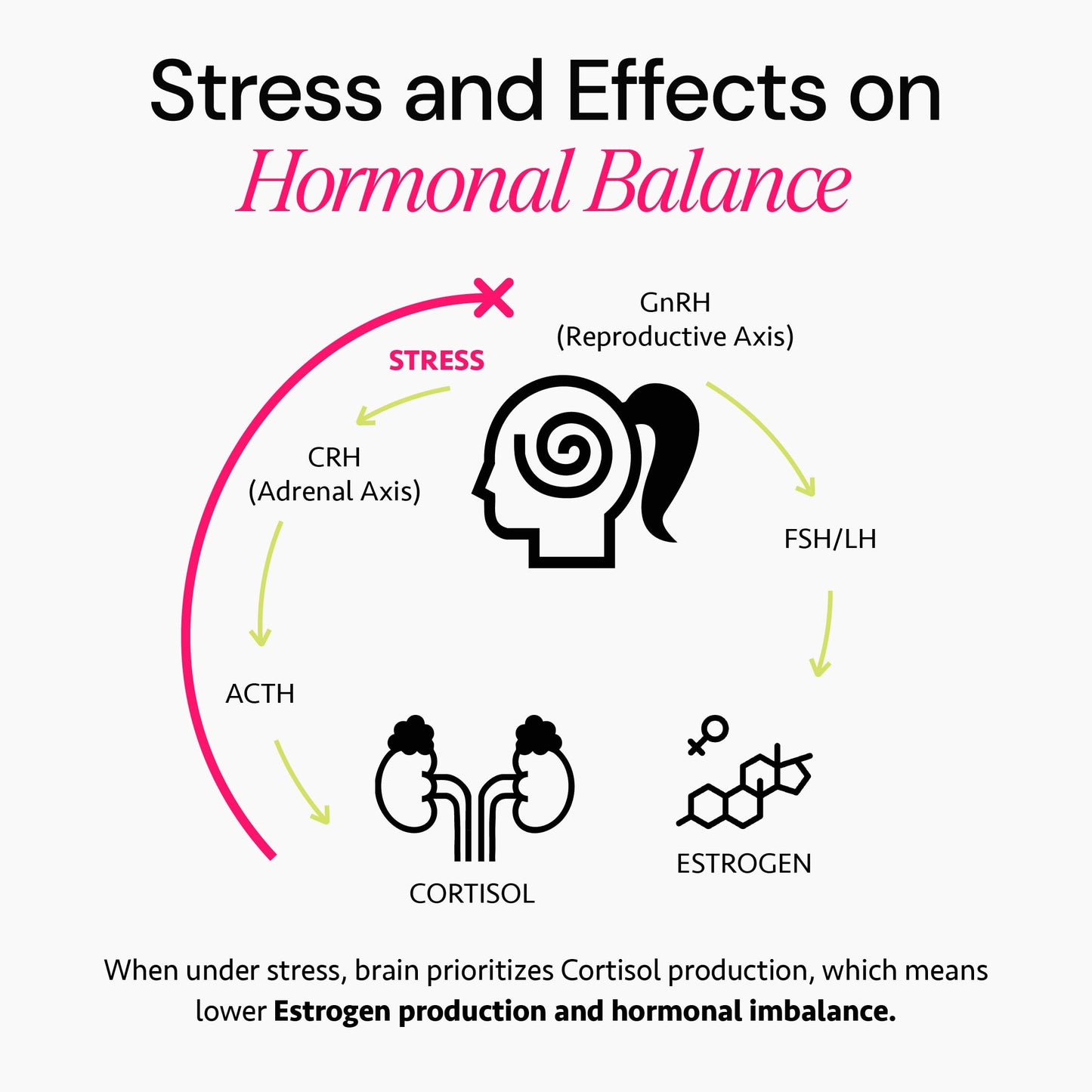 Ayurvedic Hormone Balance for Women | Cortisol Reducer | Mood, Energy, & Sleep Support | Regulates Estrogen | Stress Relief | Ashwagandha, Rhodiola, & Shatavari Freshly Moms canada supplements