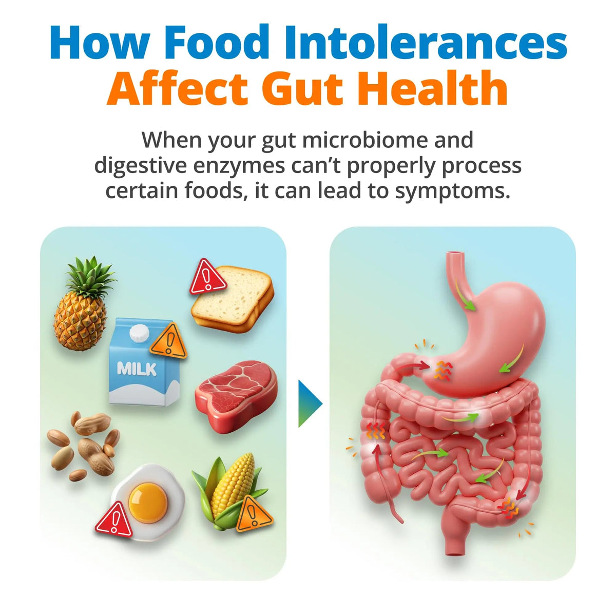 5Strands Gut Health Test for Adults & Kids, 500+ Items Tested, At-Home Hair Sample Screening for Food Intolerances Linked to Digestive Issues, Skin Irritation, Brain Fog & Headaches, Results in 4 Days 5StrandsBuy Supplements Australia