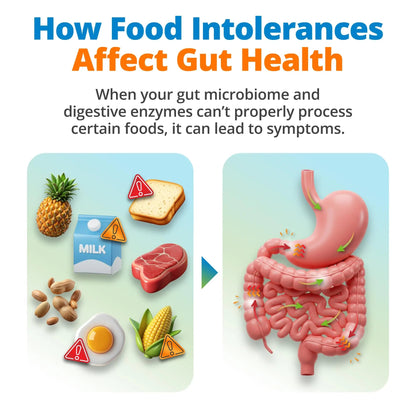 5Strands Gut Health Test for Adults & Kids, 500+ Items Tested, At-Home Hair Sample Screening for Food Intolerances Linked to Digestive Issues, Skin Irritation, Brain Fog & Headaches, Results in 4 Days 5StrandsBuy Supplements Australia