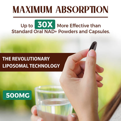 Liposomal NAD+ 500 MG Supplement, True NAD Plus Supplement, Superior Absorption, Boost NAD+ More Efficient Than Nicotinamide Riboside for Cellular Energy, Healthy Aging, 120 Serving CaenciennesBuy Supplements Australia