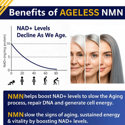 NMN Supplement 500mg Nicotinamide Mononucleotide | Supports NAD+ Levels, Energy, Cognitive Function, Muscle Health & Healthy Body Composition – Capsules (30) Ageless Foundation LaboratoriesBuy Supplements Australia