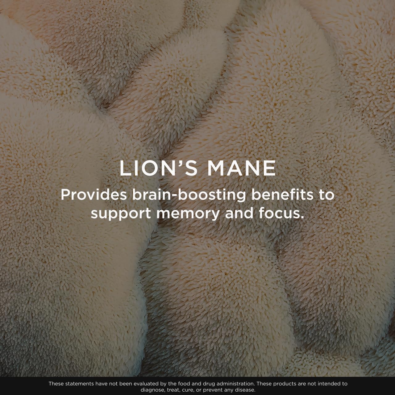 Genius Lion's Mane Soft Chews Supplement – Nootropic Mushroom for Focus, Clarity, Memory, Energy, Brain Health Support – Salted Caramel Flavor The Genius BrandBuy Supplements Australia