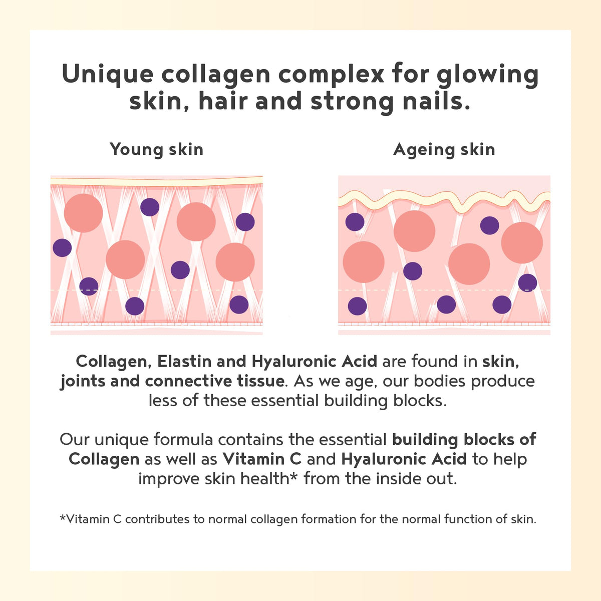 Vegan Collagen Powder with Hyaluronic Acid - Unflavoured 400g Powder Alpha FoodsBuy Supplements Australia