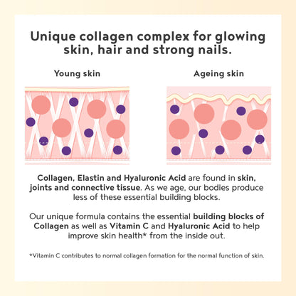 Vegan Collagen Powder with Hyaluronic Acid - Unflavoured 400g Powder Alpha FoodsBuy Supplements Australia