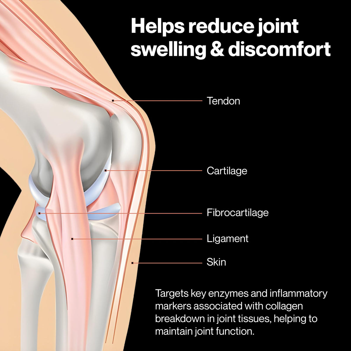 PUREFUNCTION Collagen Repair Joint Support Supplement - Boswellia, Turmeric, Hyaluronic Acid, EGCG, and Undenatured Collagen for Joint Maintenance and Repair - 60 Capsules PUREFUNCTIONBuy Supplements Australia