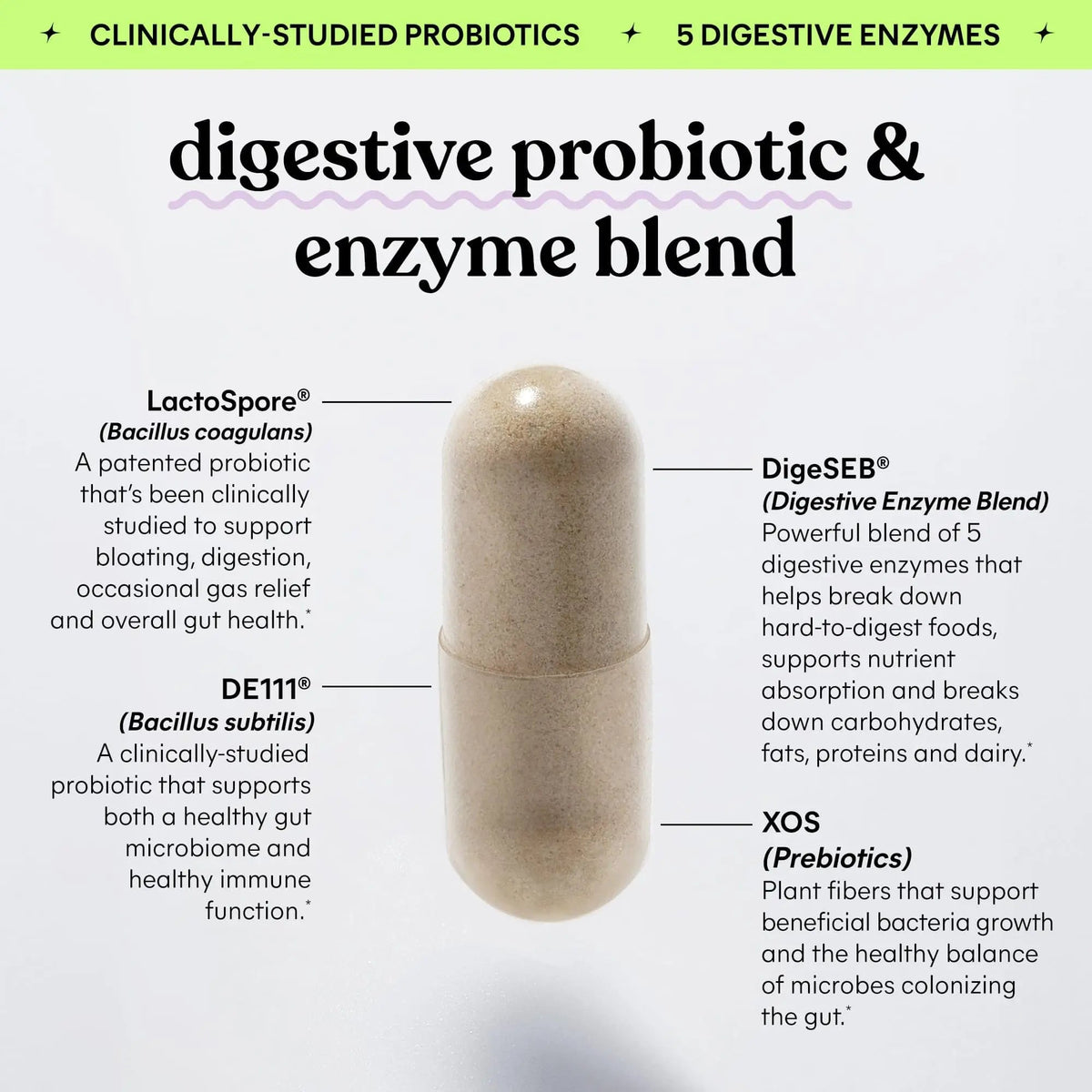 Lemme Debloat 3-in-1 Prebiotic, Probiotic & Digestive Enzyme Capsules for Bloating & Gas Relief - 2 Clinically Studied Probiotics w/5 Digestive Enzymes to Improve Digestion, Women & Men, (60 Count) LemmeBuy Supplements Australia