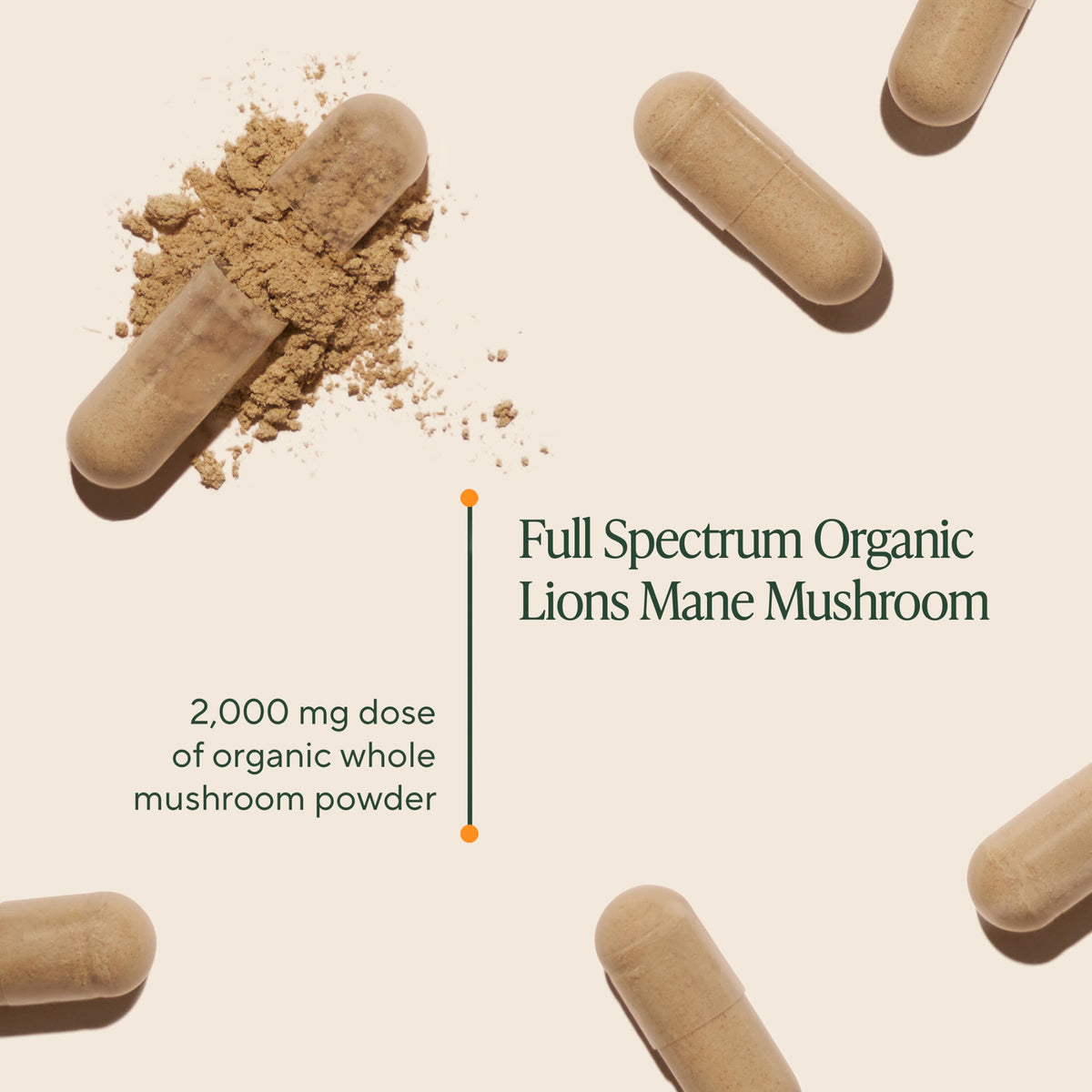 Om Lion’s Mane Mushroom Capsules - Organic Mushroom Supplement and Nootropic - Brain Supplements for Memory and Focus, 180 Count (60 Servings) OM MUSHROOM SUPERFOODBuy Supplements Australia