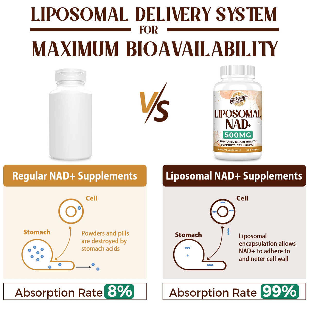 Liposomal NAD+ 500 MG Supplement, True NAD Plus Supplement, Superior Absorption, Boost NAD+ More Efficient Than Nicotinamide Riboside for Cellular Energy, Healthy Aging, 120 Serving CaenciennesBuy Supplements Australia