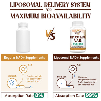 Liposomal NAD+ 500 MG Supplement, True NAD Plus Supplement, Superior Absorption, Boost NAD+ More Efficient Than Nicotinamide Riboside for Cellular Energy, Healthy Aging, 120 Serving CaenciennesBuy Supplements Australia