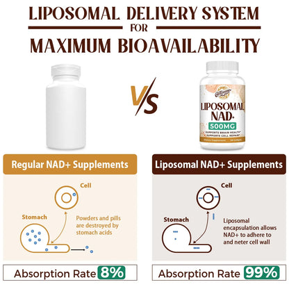 Caenciennes Liposomal NAD+ 500 MG Supplement, True NAD Plus Supplement, Superior Absorption, Boost NAD+ More Efficient Than Nicotinamide Riboside for Cellular Energy, Healthy Aging, 60 Serving CaenciennesBuy Supplements Australia