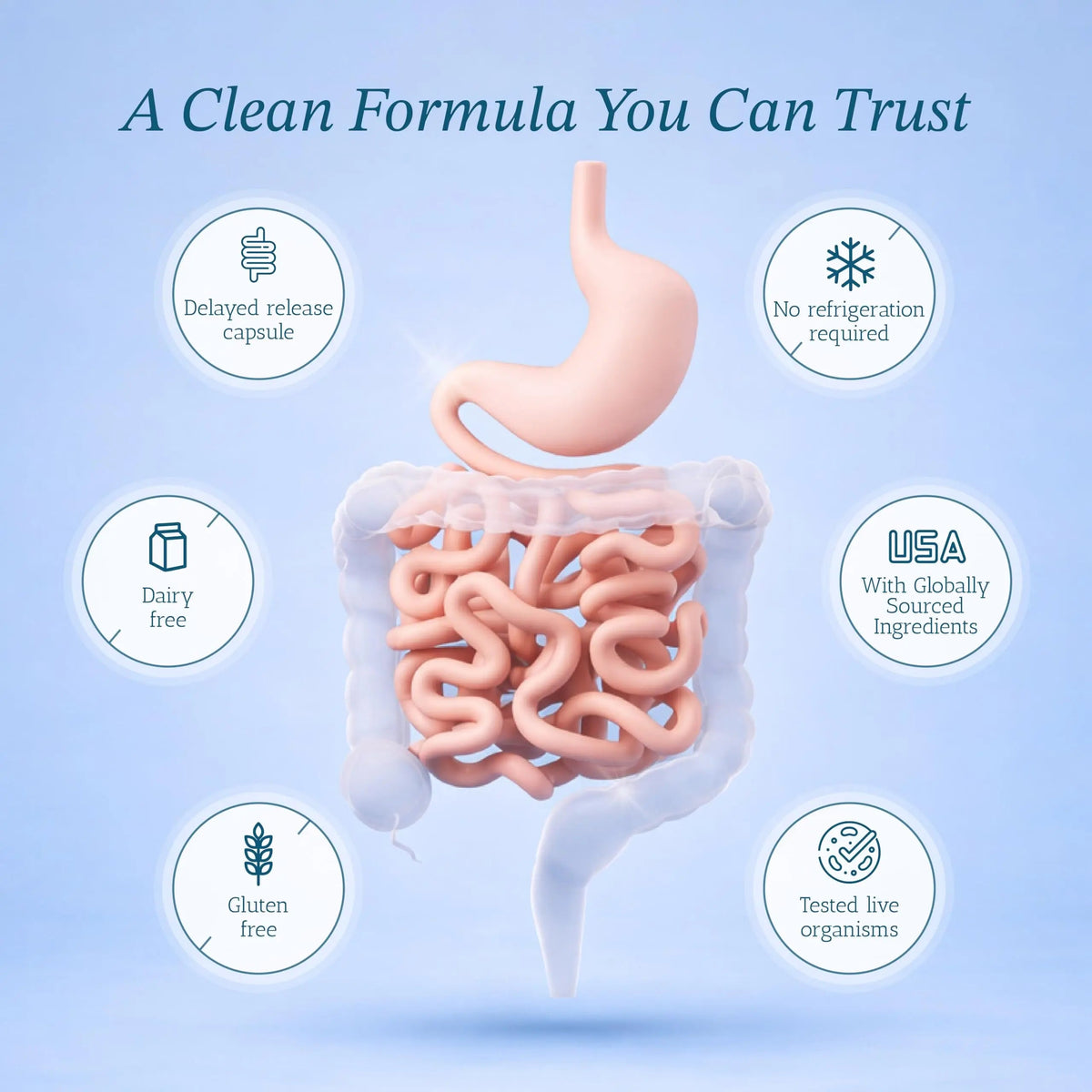 Vitamin Bounty Pro-50 Probiotics 50 Billion CFU for Women & Men - 13 Multi Strain Probiotic + Prebiotic - Digestive Health Supplements for Gut Health Support - Delayed Release Capsules for Men & Women Vitamin BountyBuy Supplements Australia