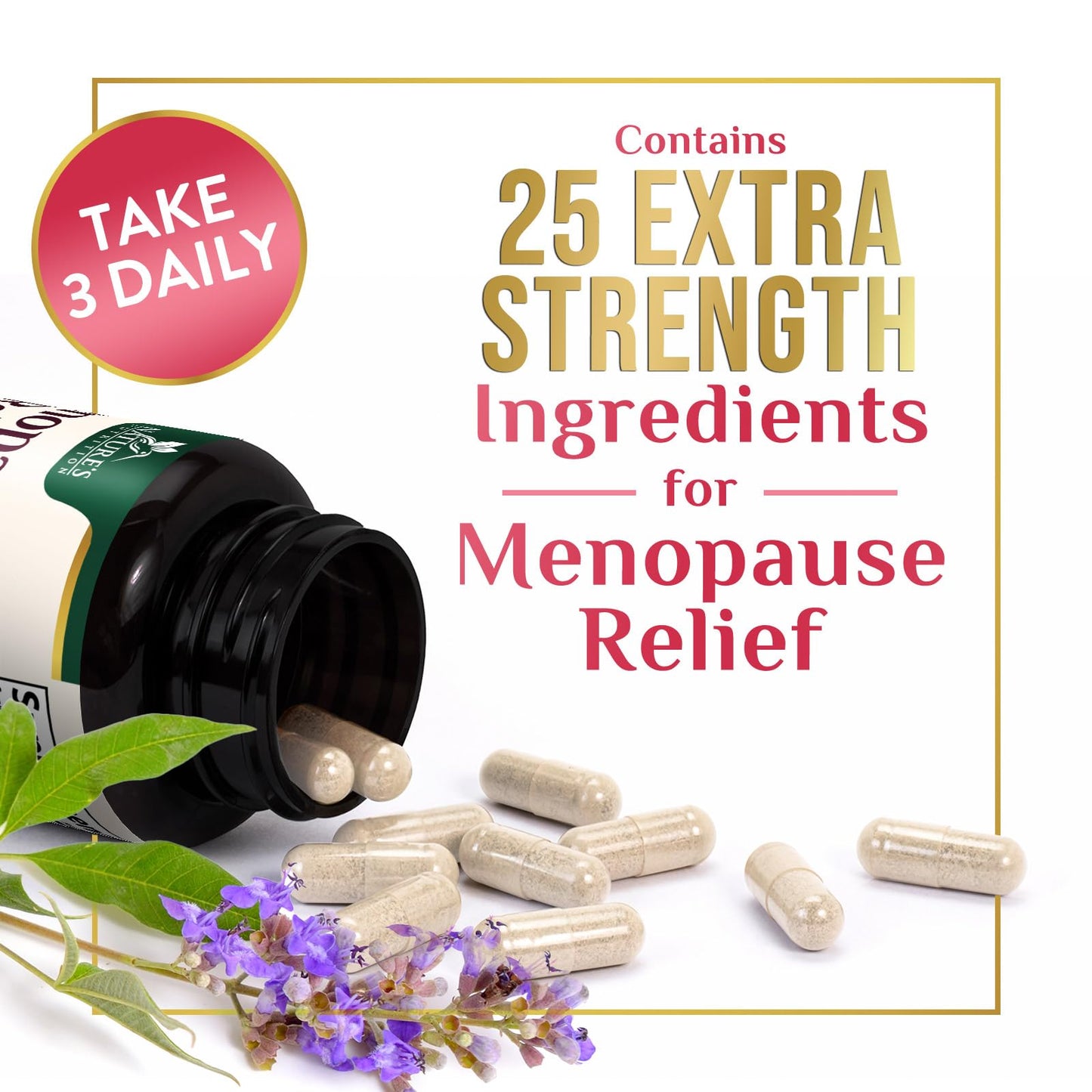 Menopause Supplement for Women - Natural Menopause Relief Support for Mild Hot Flashes & Night Sweats - Best Probiotics for Women, Dong Quai, Black Cohosh, Ashwagandha - Bottled in USA - 60 Capsules Nature's NutritionBuy Supplements Australia