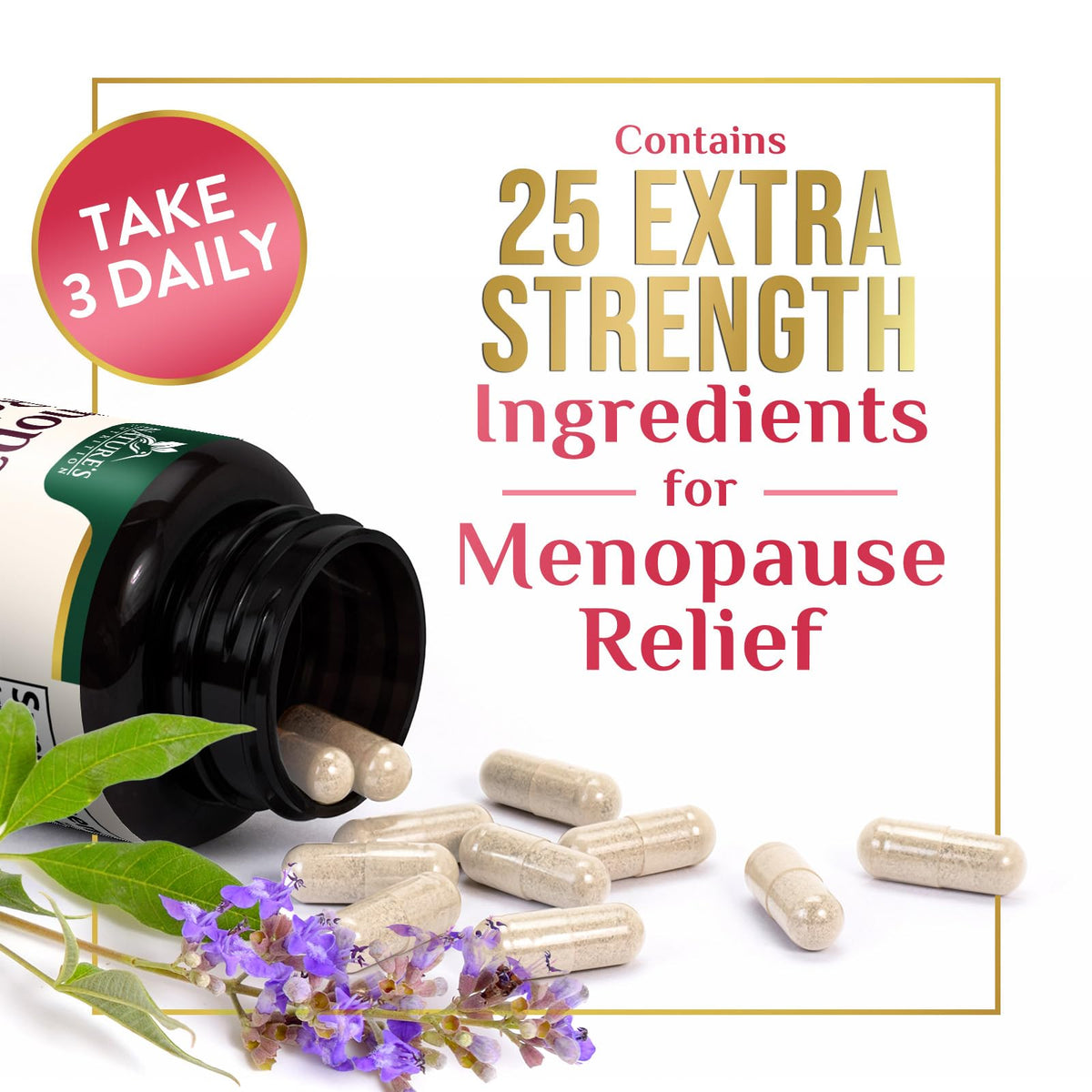 Menopause Supplement for Women - Natural Menopause Relief Support for Mild Hot Flashes & Night Sweats - Best Probiotics for Women, Dong Quai, Black Cohosh, Ashwagandha - Bottled in USA - 60 Capsules Nature's NutritionBuy Supplements Australia