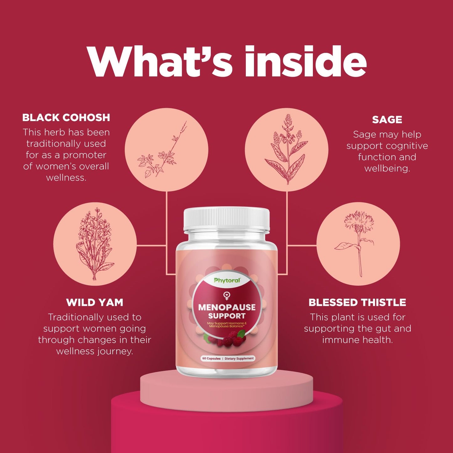 Phytoral Complete Herbal Menopause Supplement for Women - Female Hormone Balance Capsules for Night Sweats Hot Flashes & Mood Swings with Dong Quai, Chaste Berry & Black Cohosh Root - 60 Count Pack PhytoralBuy Supplements Australia