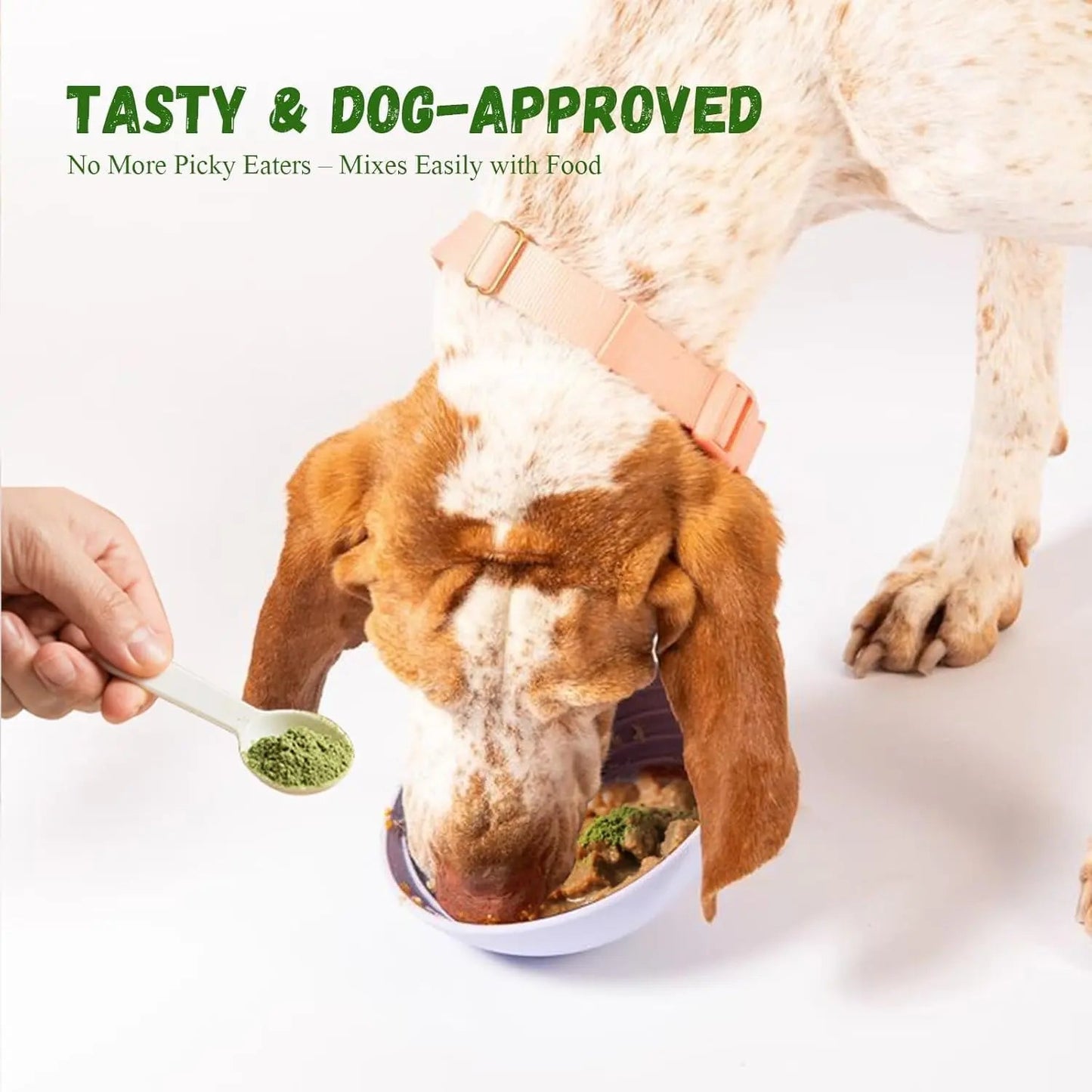 Vetriuntrix Dog Dental Powder, Dental Powder for Dogs Teeth Cleaning and Breath Fresh, Dog Teeth Cleaning Powder with Natural Plants Ingredients and Postbiotics, 200g VetriuntrixBuy Supplements Australia