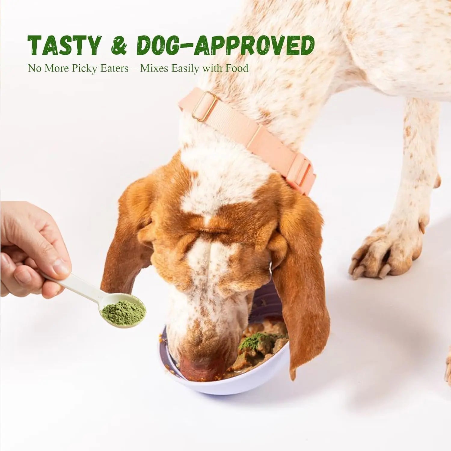 Vetriuntrix Dog Dental Powder, Dental Powder for Dogs Teeth Cleaning and Breath Fresh, Dog Teeth Cleaning Powder with Natural Plants Ingredients and Postbiotics, 200g VetriuntrixBuy Supplements Australia