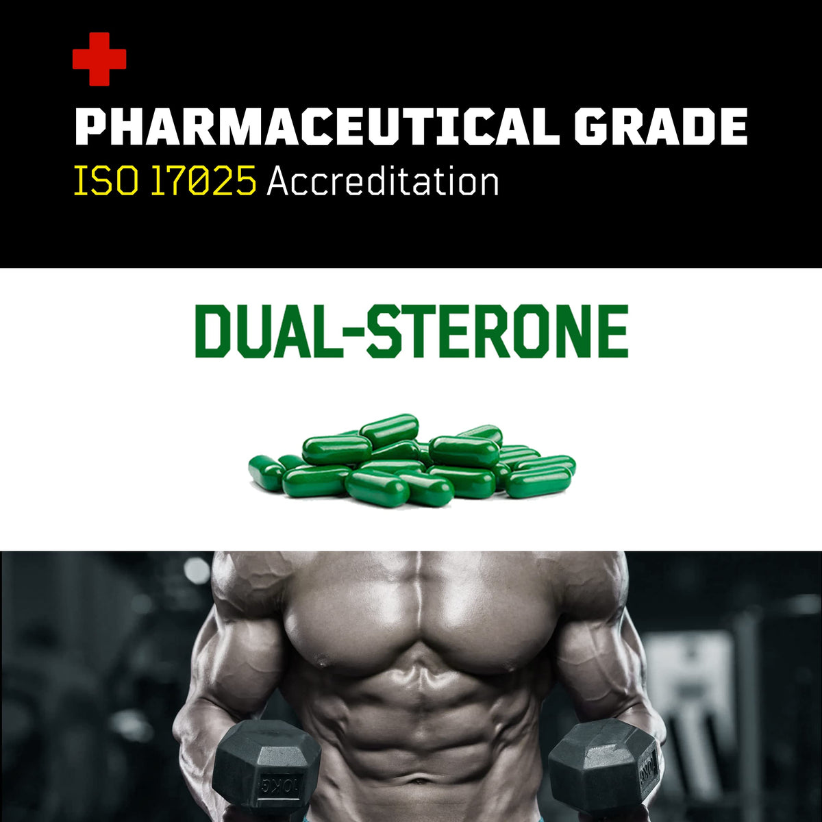 Turkesterone + Ecdysterone | Anabolic Supplement (3 Months - 180 Caps) Olympic Grade Testing - ISO 17025 Certification |1000mg - 98%-95% Purity with Lab Synthesized Cyclodextrin | Beta Ecdisterona Flight ArmourBuy Supplements Australia