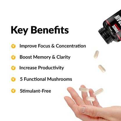 Forebrain Focus Brain Booster, Brain Supplement to Boost Clarity & Concentration, Improve Memory & Sharpness & Productivity, Nootropic Brain Support Supplement, Force Factor, 120 Capsules, Black Force FactorBuy Supplements Australia