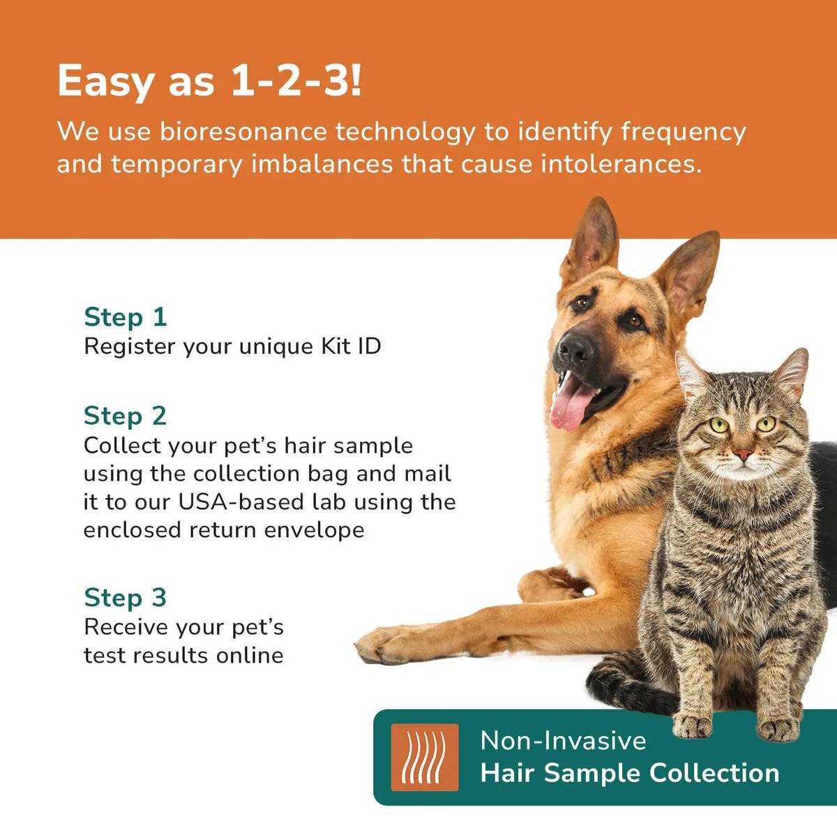 TotalVet Dog Allergy +1000 Food & Nutritional Sensitivity Test, Pet Intolerance Kit at Home — Advanced Complement to DNA Tests for Complete Pet Wellness TotalVetBuy Supplements Australia