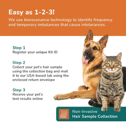 TotalVet Dog Allergy +1000 Food & Nutritional Sensitivity Test, Pet Intolerance Kit at Home — Advanced Complement to DNA Tests for Complete Pet Wellness TotalVetBuy Supplements Australia