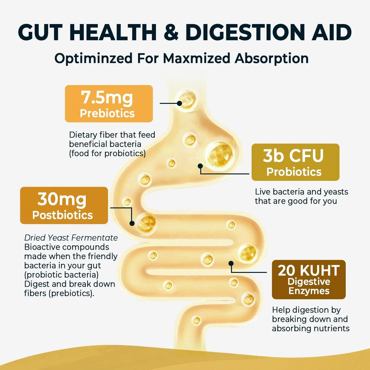 4-in-1 Prebiotic Probiotic & Postbiotic for Women & Men, Complete Gut & Digestive Support Supplement, Pre Post Probiotics & Digestive Enzymes 60 Capsules,Made in USA Divinity NutraBuy Supplements Australia