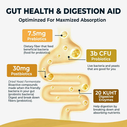 4-in-1 Prebiotic Probiotic & Postbiotic for Women & Men, Complete Gut & Digestive Support Supplement, Pre Post Probiotics & Digestive Enzymes 60 Capsules,Made in USA Divinity NutraBuy Supplements Australia