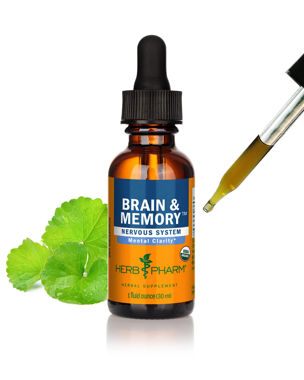 Herb Pharm Organic Nootropic Brain & Memory Supplement with Ginkgo Biloba Liquid Extract: Fast Absorption for Mental Focus Support, Ginkgo Supplement, Vegan, Gluten-Free, Non-GMO, 1 Oz Herb PharmBuy Supplements Australia
