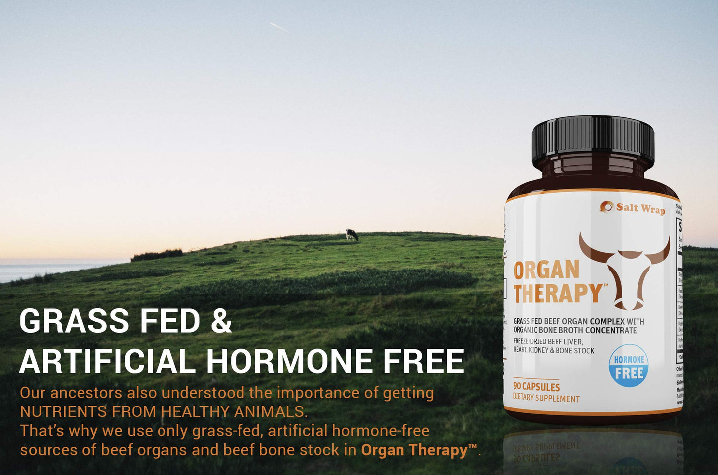 SaltWrap Organ Therapy - Grass Fed Beef Organ Meat Complex Supplement with Organic SaltWrapBuy Supplements Australia