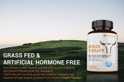 SaltWrap Organ Therapy - Grass Fed Beef Organ Meat Complex Supplement with Organic SaltWrapBuy Supplements Australia