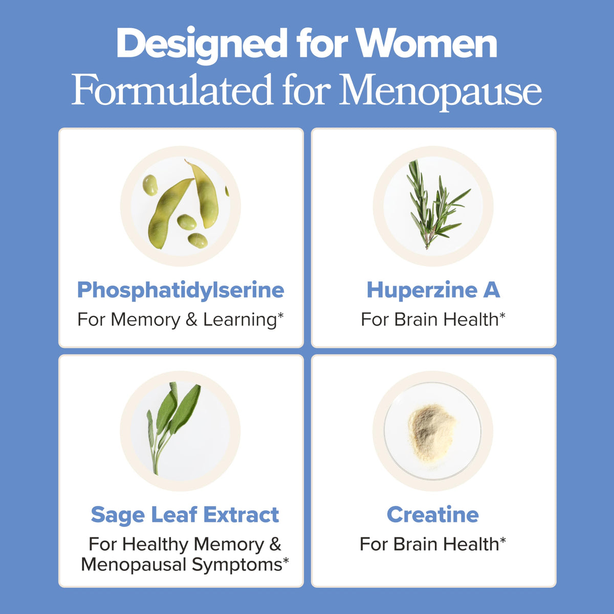 MENO Brain Health + Memory Support Capsules – Daily Support for Cognitive Performance, Concentration & Healthy Brain Aging – with Phosphatidylserine, Creatine, Sage Leaf & Huperzine A – 30 Servings O PositivBuy Supplements Australia