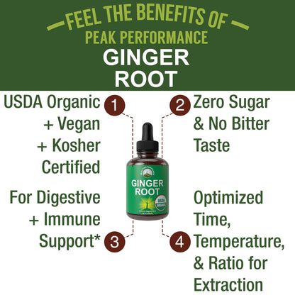 USDA Organic Ginger Root Extract Liquid Drops. Zero Sugar, Non Bitter Vegan Ginger Oil Supplement for Immune, Digestive + Gut Support. High Bioavailability, Gluten Free for Women and Men. Take Orally Peak PerformanceBuy Supplements Australia
