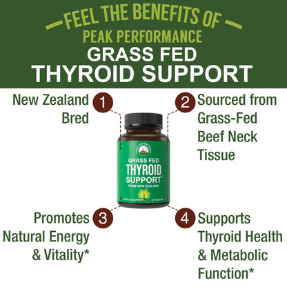 Raw Desiccated Thyroid Supplement. Grass Fed New Zealand Beef Neck & Thyroid Gland Capsules for Women and Men. Ancestral Living Ethically Sourced Bovine Supplements for Energy and Metabolism Support Peak PerformanceBuy Supplements Australia