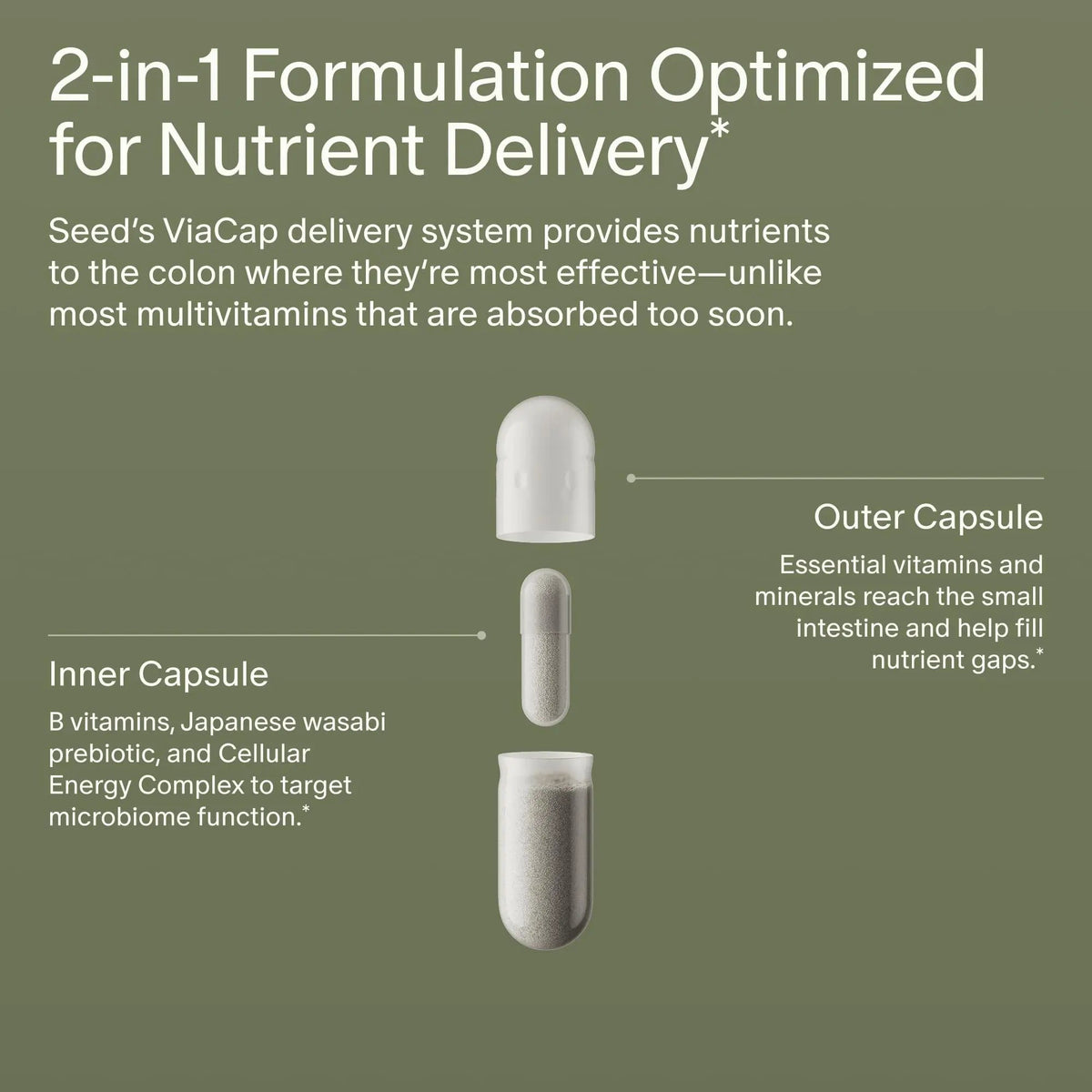 Seed DM-02 Daily Multivitamin - 100% DV Essential Vitamins and Minerals for Women & Men - Helps Fill Daily Nutrient Gaps SeedBuy Supplements Australia