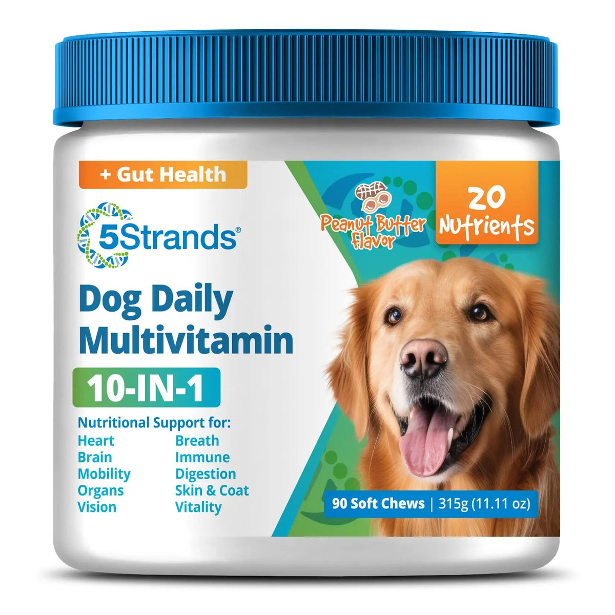 5Strands Dog Multivitamin Chews, 10-in-1, Vitamins & Postbiotics, All Ages & Breeds - Digestion, Brain, Organs, Heart, Mobility, Vision, Skin & Coat, Immunity - Dog Supplement (Peanut Butter, 90ct) 5StrandsBuy Supplements Australia