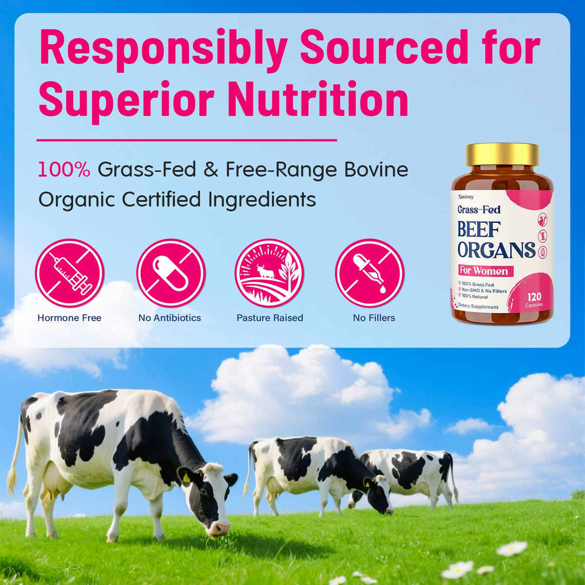 12-In-1 Beef Organ Supplement for Women - Beef Liver, Uterus, Kidney, Heart, Pancreas, 5 Vitamins & 2 Herbs, Hormone Balance, Menstruation, Energy, Immune - 100% Grass Fed, Pasture Raise - 120 Caps NassiouyBuy Supplements Australia