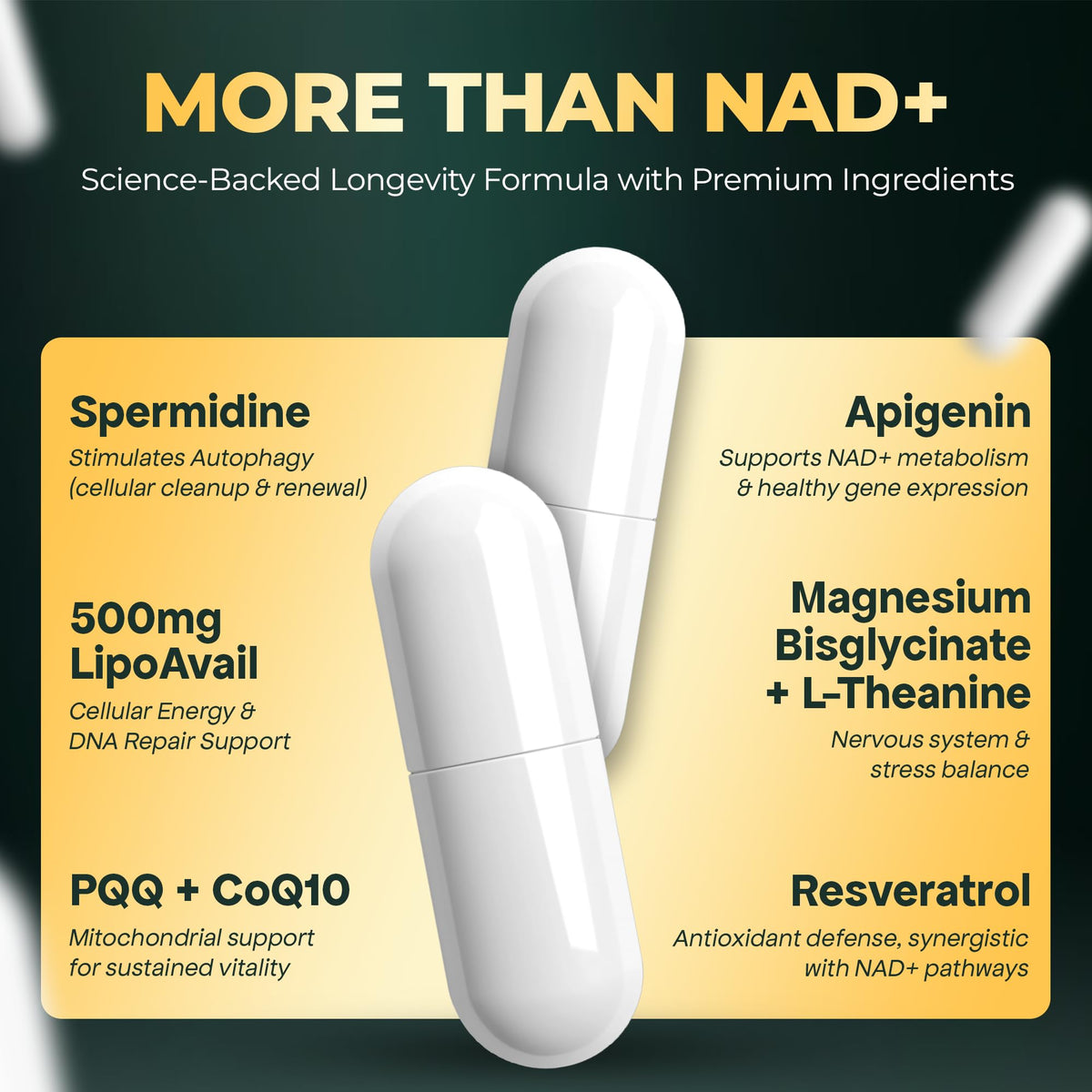 UPLIFE NAD+ Supplement 1,372mg – Liposomal NAD+ with CoQ10, Resveratrol, Spermidine, L-Theanine, Apigenin & PQQ – NMNH Alternative Booster Cellular Energy, Healthy Aging, Immune Health – 120 Capsules UPLIFEBuy Supplements Australia