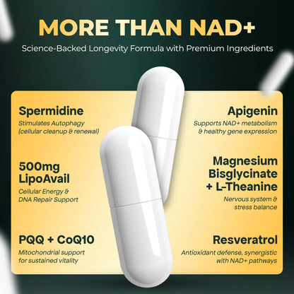 UPLIFE NAD+ Supplement 1,372mg – Liposomal NAD+ with CoQ10, Resveratrol, Spermidine, L-Theanine, Apigenin & PQQ – NMNH Alternative Booster Cellular Energy, Healthy Aging, Immune Health – 120 Capsules UPLIFEBuy Supplements Australia