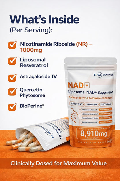 Eternaroot NAD+ 5D Matrix - High Potency NAD Precursor - 1000mg Nicotinamide Riboside (NR) + Liposomal Resveratrol - Clean Vegan Formula - Cellular Energy & Immune Support EternarootBuy Supplements Australia