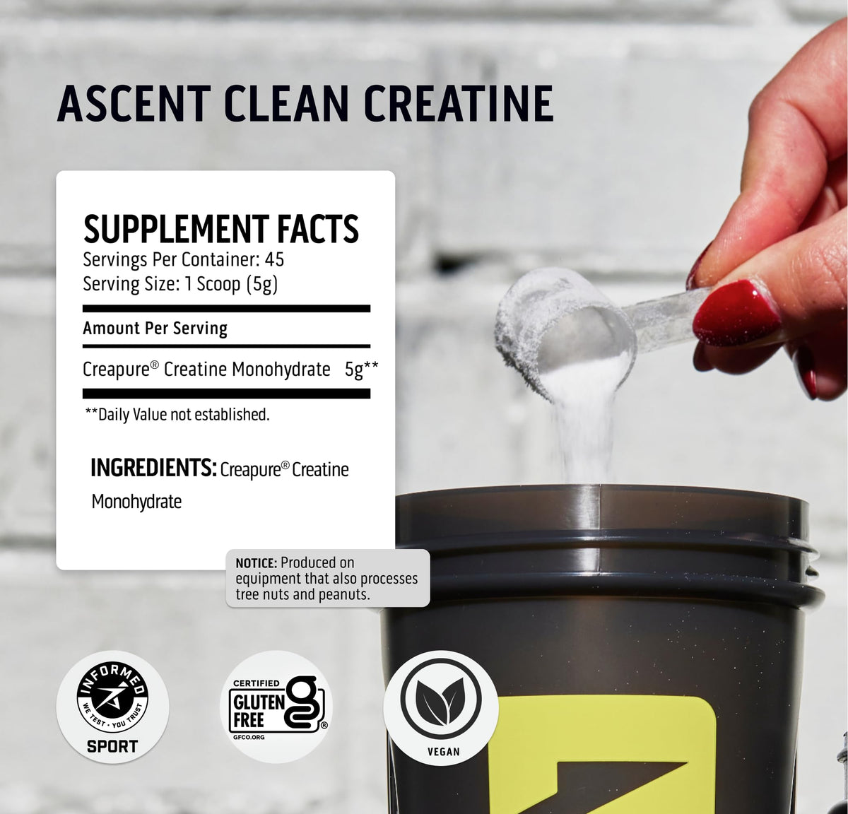 Ascent Clean Creatine Monohydrate Powder - 5G Per Serving, Creapure Creatine Supple AscentBuy Supplements Australia