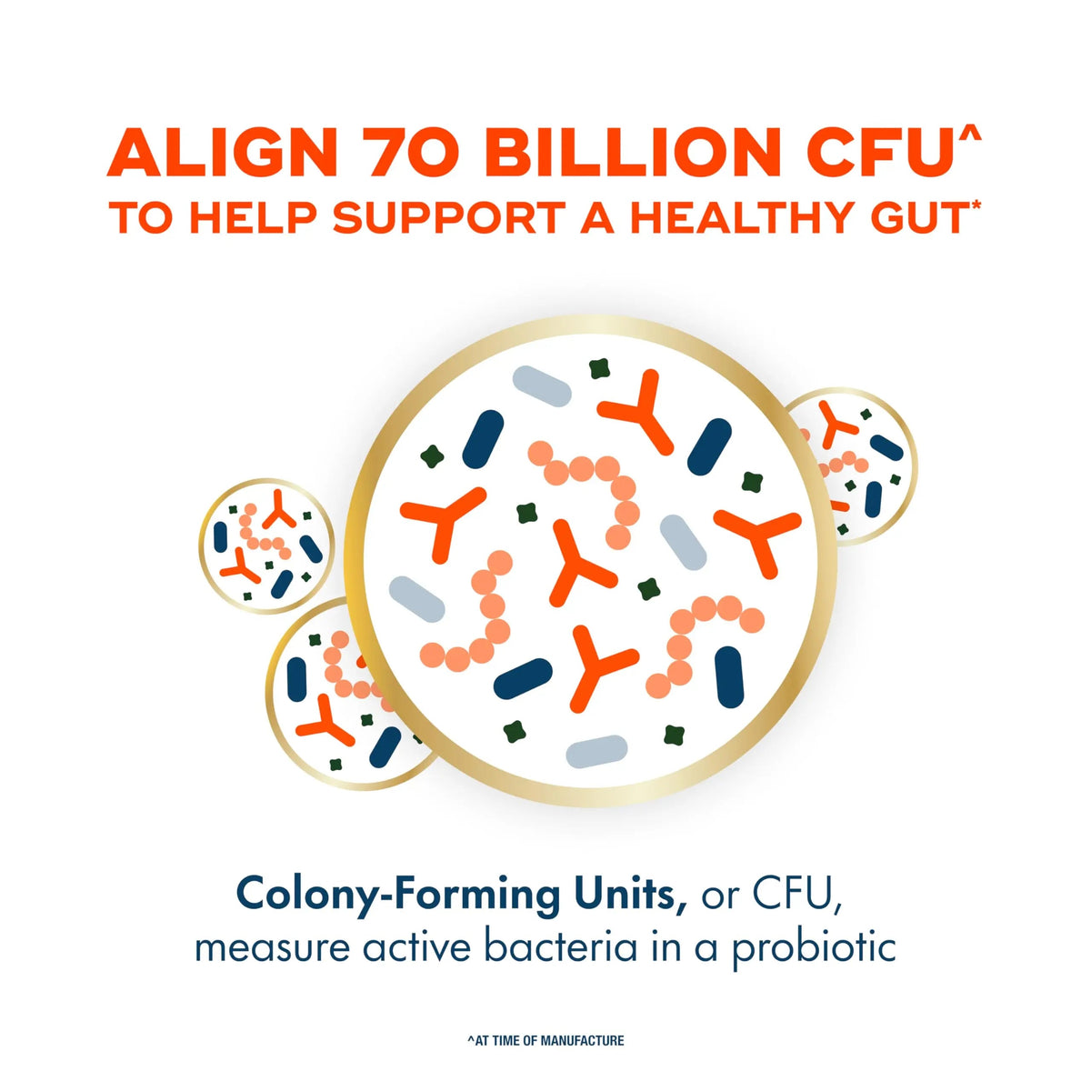 Align Probiotic, 70 Billion CFU, 6 Strain Blend, Probiotics for Women and Men, Daily Probiotics for Digestive Health, Helps Relieve Occasional Bloating & Gas 30 Capsules AlignBuy Supplements Australia