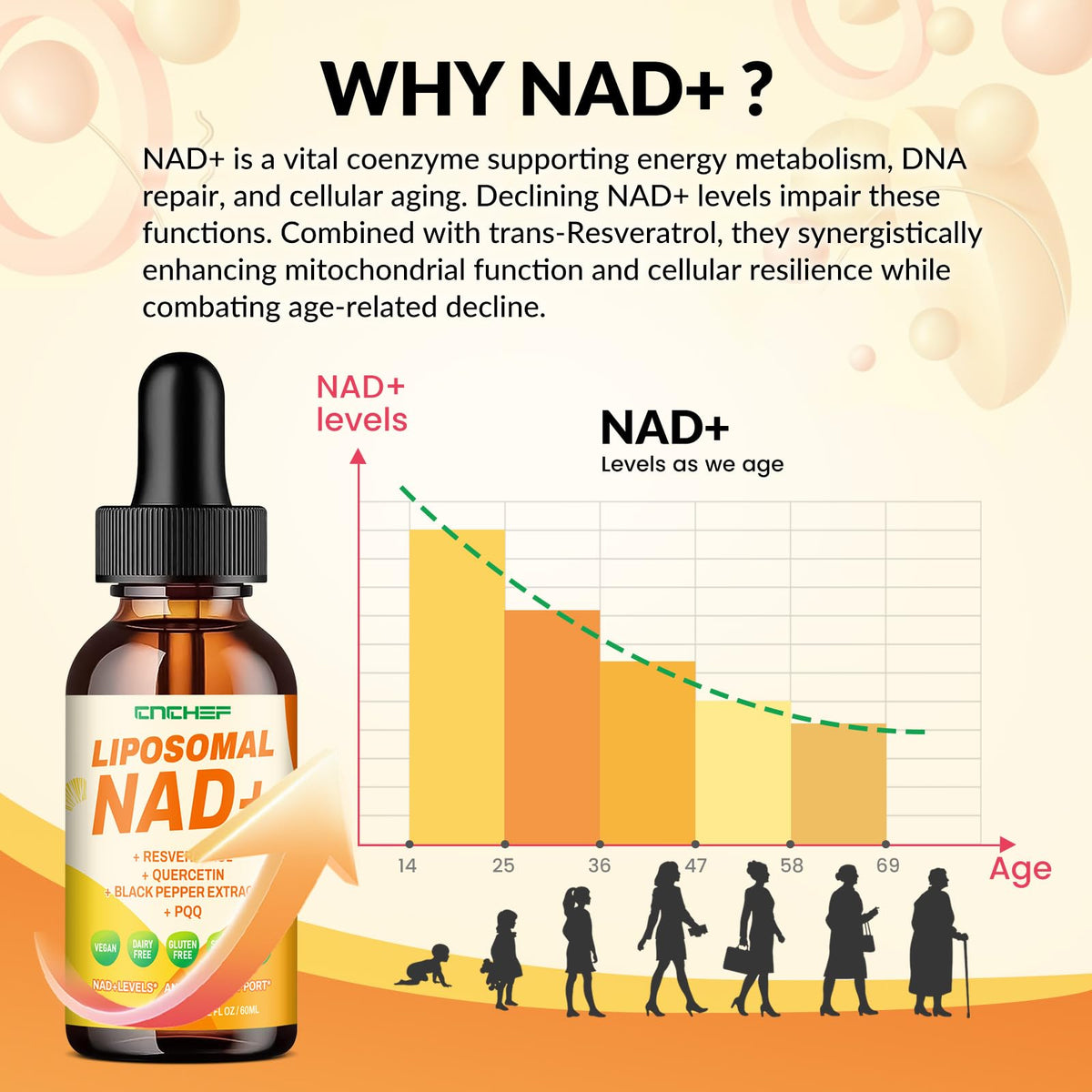 CNCHEF Liposomal NAD Supplement - 1500mg NAD+ Liquid Drop for Women & Men Nicotinamide Riboside Chloride & Resveratrol Complex - Cellular Renewal, Anti-Aging Support - 30 Servings (2 fl oz) CNCHEFBuy Supplements Australia