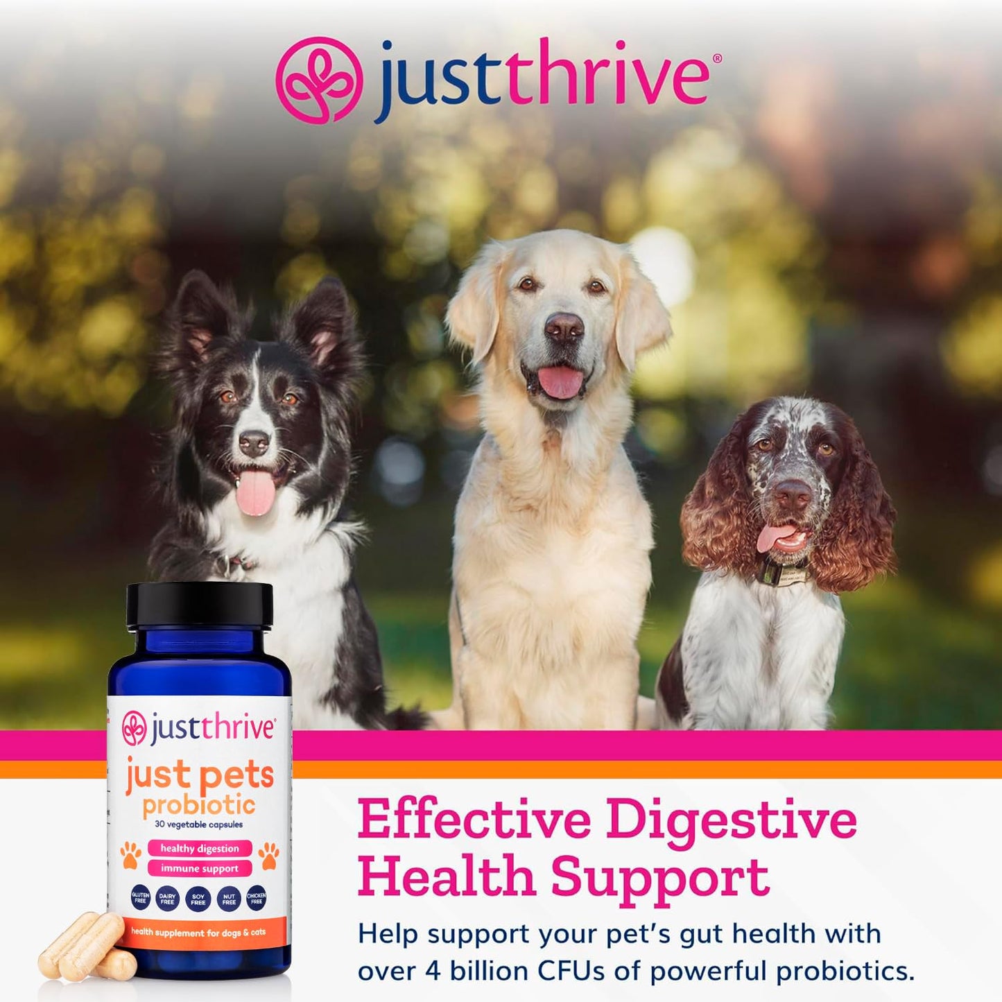 Just Thrive Just Pets Probiotic - Daily Digestive Probiotics for Dogs and Cats - 4 Billion CFUs Pet Probiotic, 30 Capsules Just ThriveBuy Supplements Australia