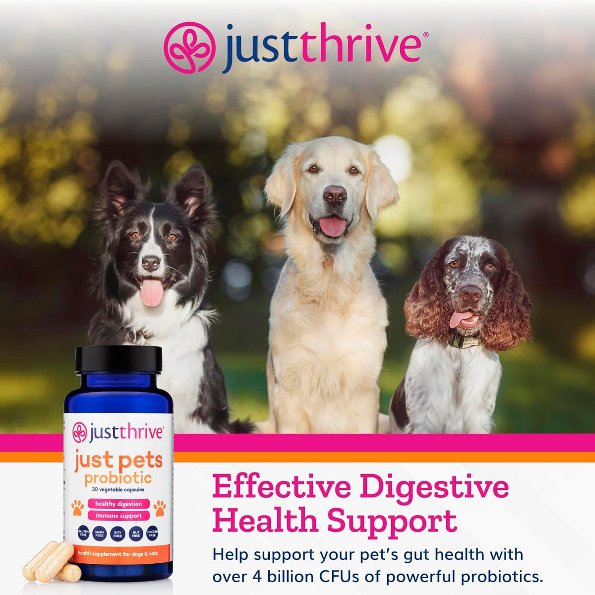 Just Thrive Just Pets Probiotic - Daily Digestive Probiotics for Dogs and Cats - 4 Billion CFUs Pet Probiotic, 30 Capsules Just ThriveBuy Supplements Australia