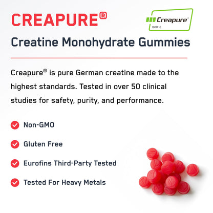 SteelFit Creapure Creatine Monohydrate Gummies for Men & Women, Juicy Watermelon - Gym Workout Nutritional Supplements for Muscle Gain, Brain Health & Strength Building Dietary Supplement, 120 Gummies SteelFitBuy Supplements Australia