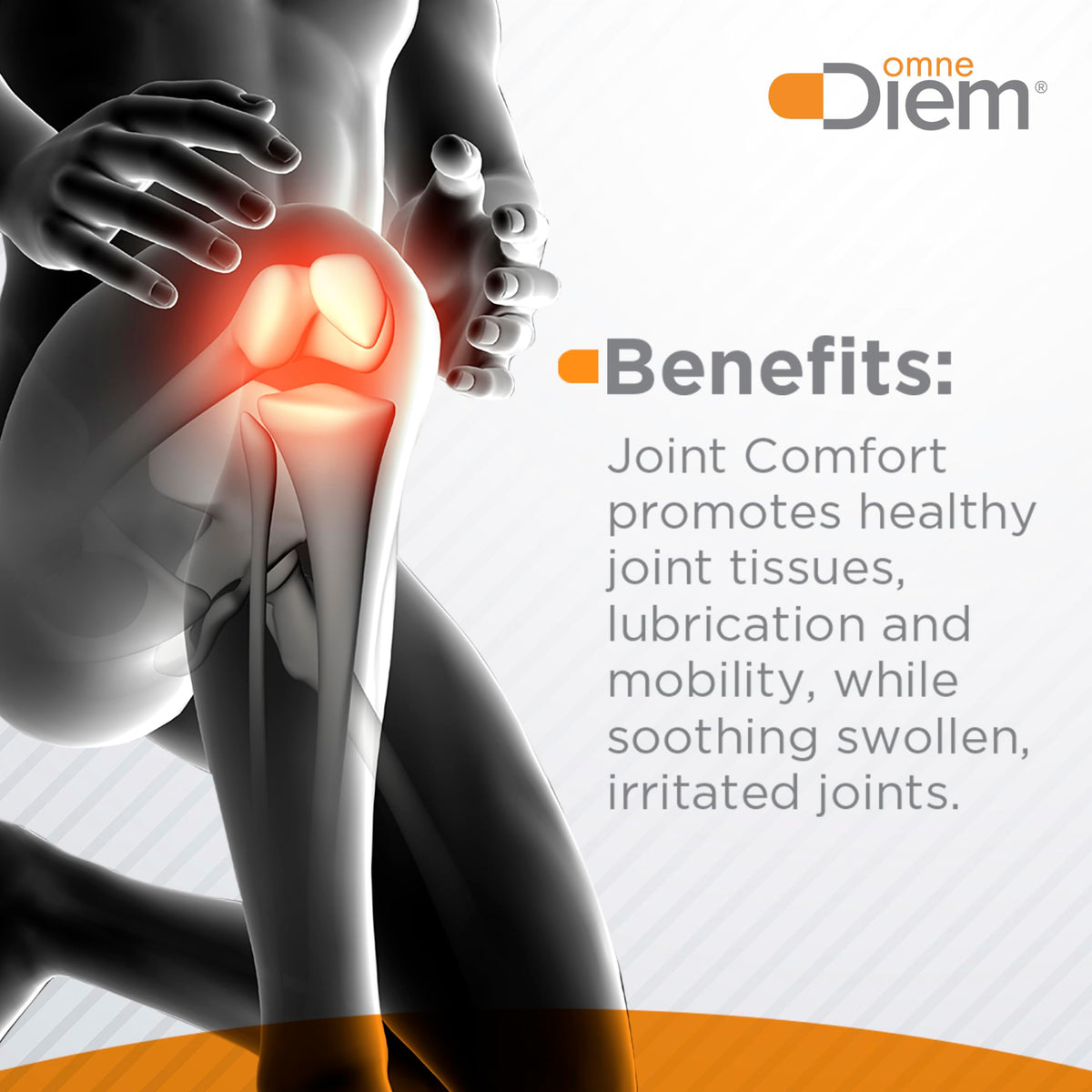 OmneDiem Joint Comfort with ZOARA, 60 Capsules – Dietary Supplement for Comprehensive Joint Care & Comfort Omne DiemBuy Supplements Australia