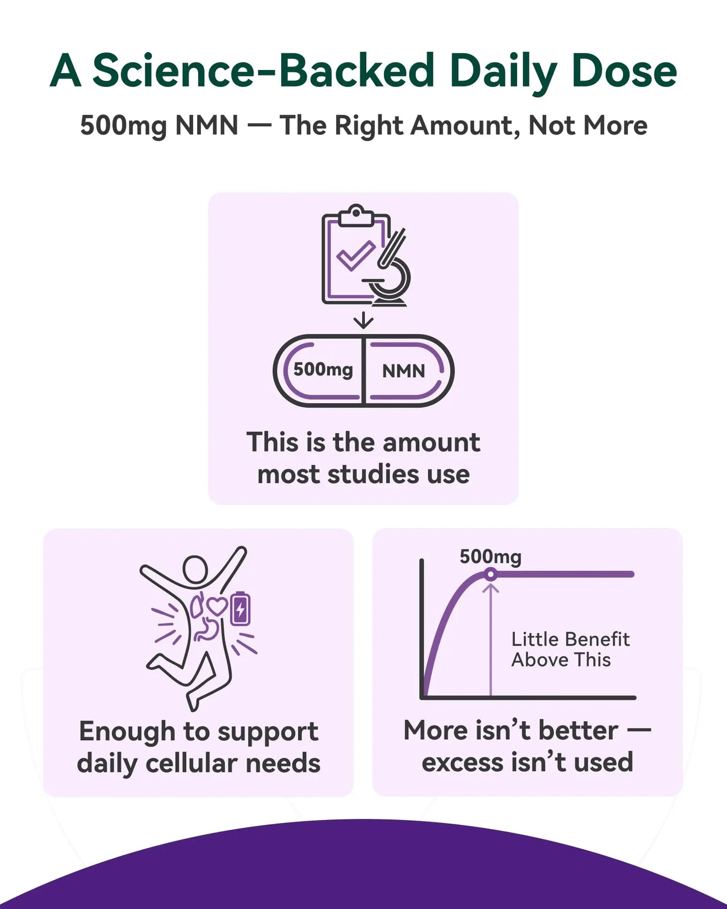 Inner Brightness NMN Supplement 500mg, 99.9% High Purity, Supports NAD+ Levels & Cellular Energy, 5-in-1 Formula with Resveratrol & Astaxanthin, Non-GMO, Gluten-Free, 60 Capsules Inner BrightnessBuy Supplements Australia