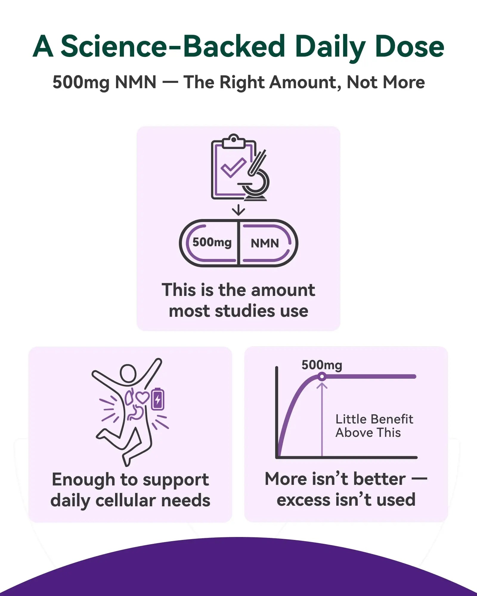 Inner Brightness NMN Supplement 500mg, 99.9% High Purity, Supports NAD+ Levels & Cellular Energy, 5-in-1 Formula with Resveratrol & Astaxanthin, Non-GMO, Gluten-Free, 60 Capsules Inner BrightnessBuy Supplements Australia