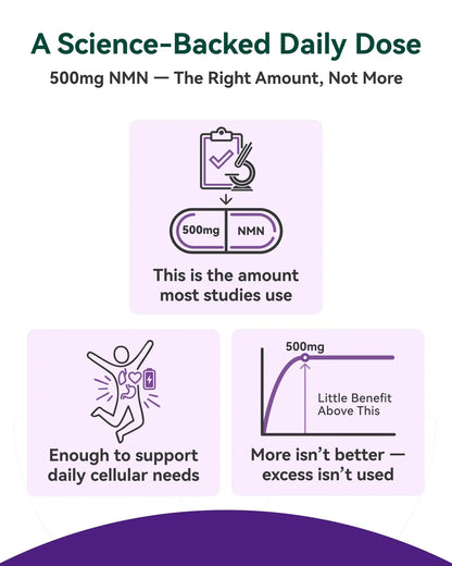 Inner Brightness NMN Supplement 500mg, 99.9% High Purity, Supports NAD+ Levels & Cellular Energy, 5-in-1 Formula with Resveratrol & Astaxanthin, Non-GMO, Gluten-Free, 60 Capsules Inner BrightnessBuy Supplements Australia