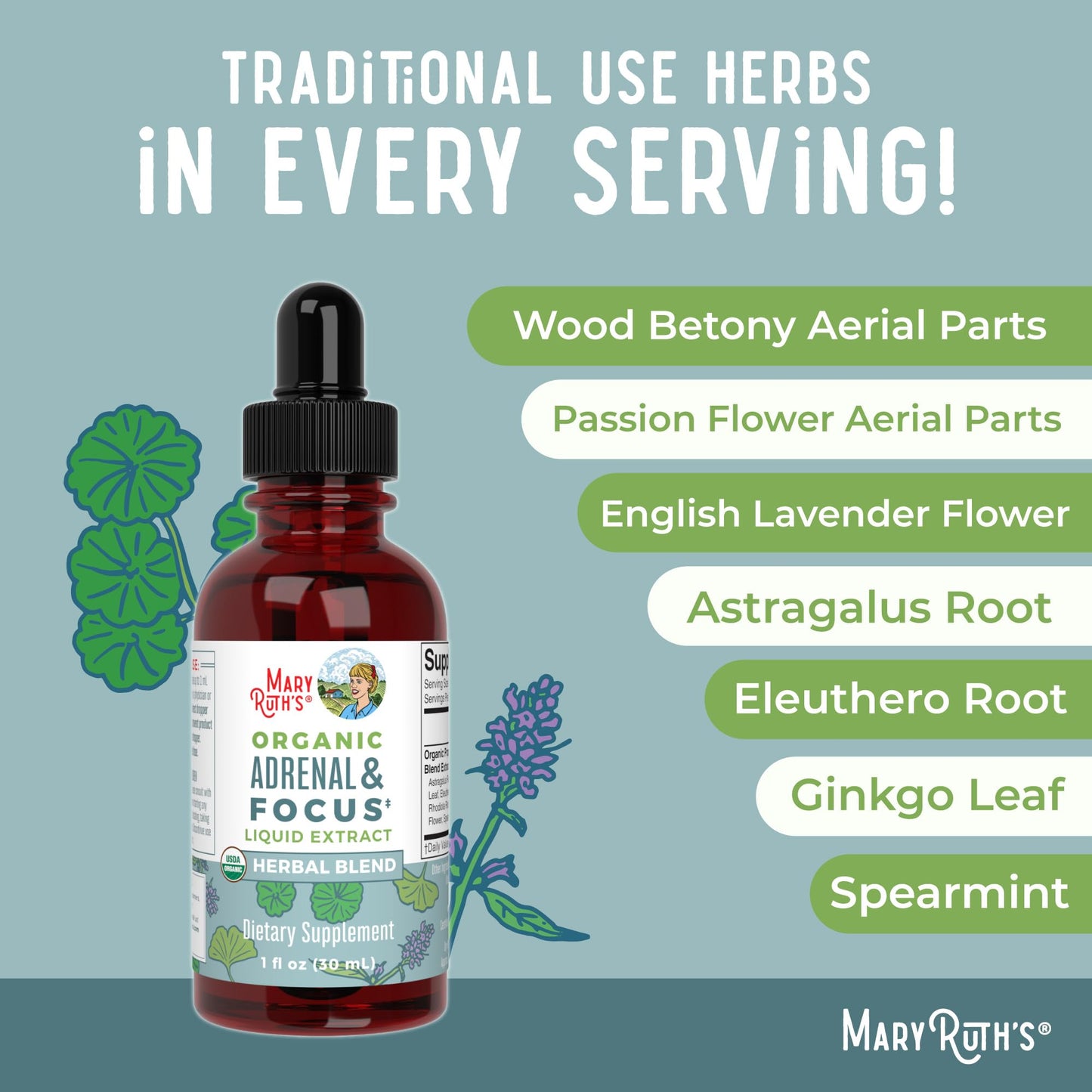 MaryRuth Organics - USDA Organic Brain Nootropic Supplement for Adults with Ginkgo Biloba & Astragalus | Focus & Adrenal Support | Brain & Memory Drops | Vegan | Non-GMO | Gluten Free | 30 Servings MARYRUTH'SBuy Supplements Australia